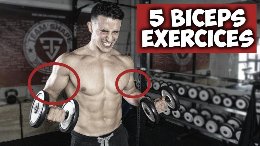 Les meilleurs exercices pour développer ses biceps